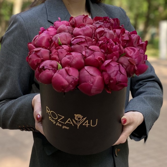 25 пионов Канзас в коробке